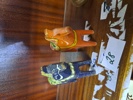 15387a_8dd8afc6a078915_sm.jpeg